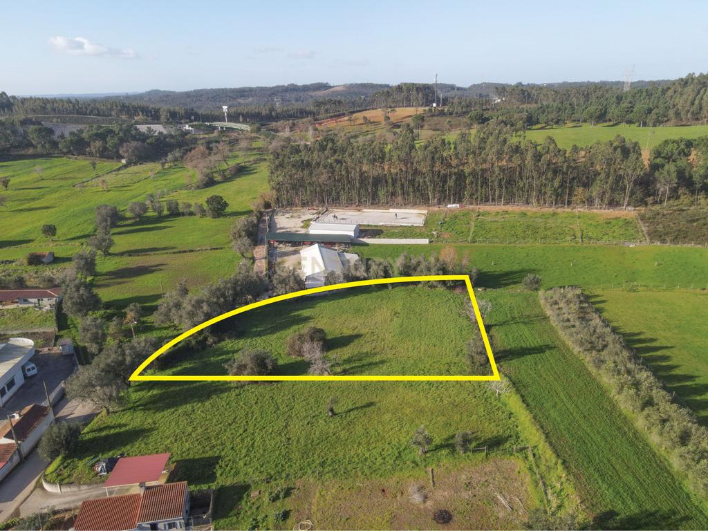 Terreno com viabilidade de Construção em Cernache, Coimbra. - Image 3