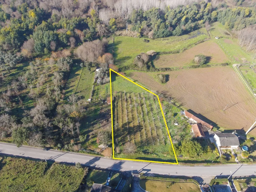 Terreno para construção com poço - Lousã - Image 8
