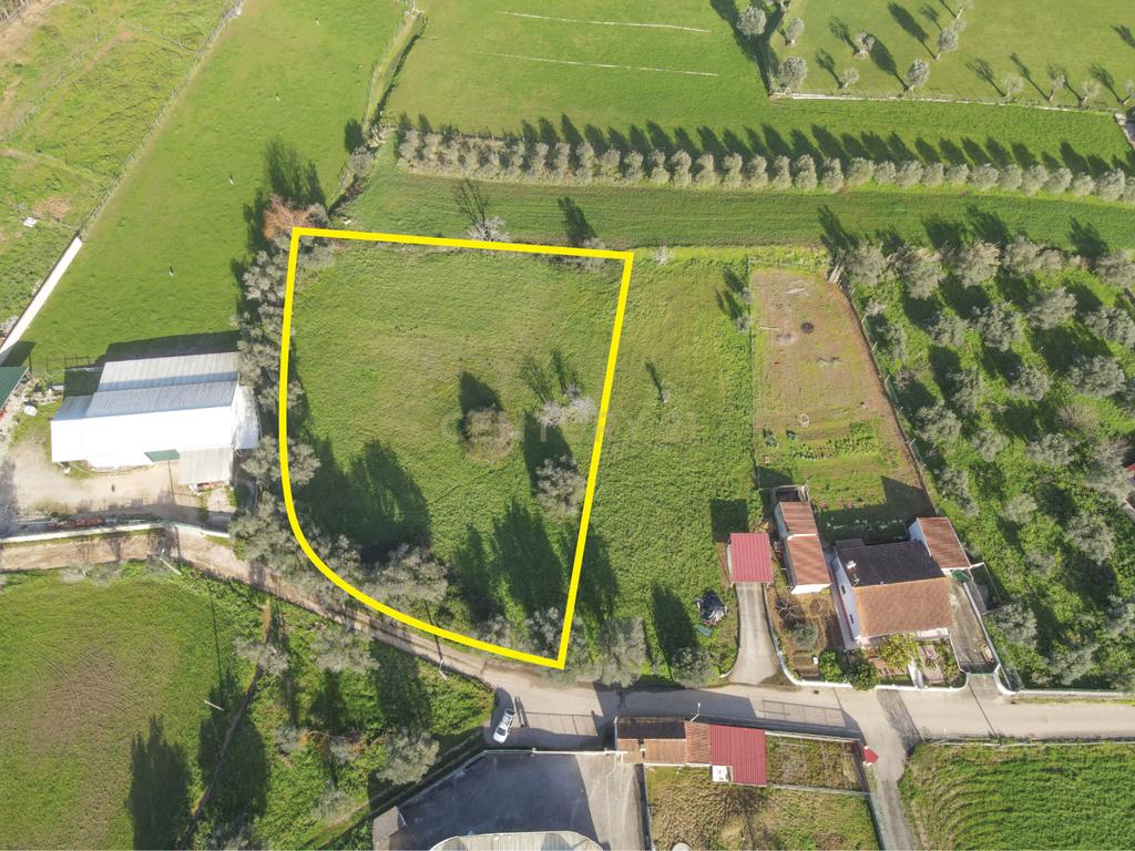 Terreno com viabilidade de Construção em Cernache, Coimbra. - Image 7