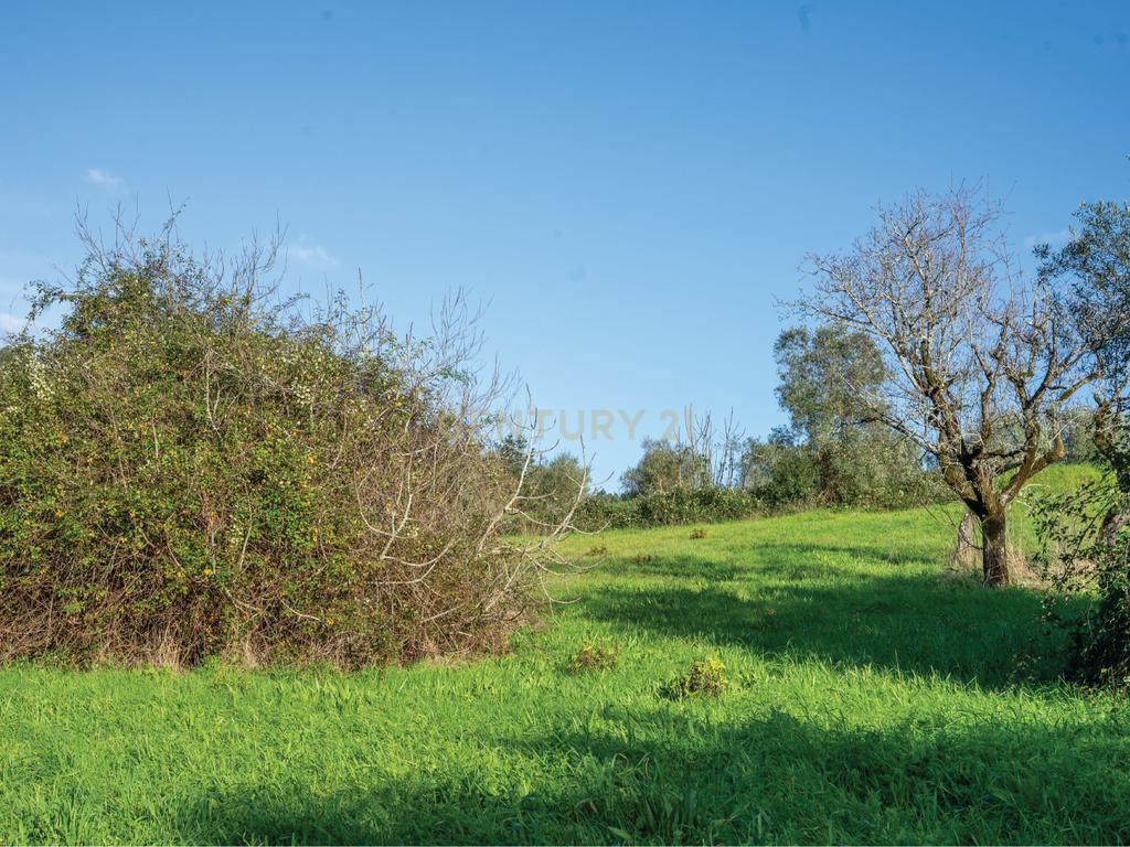 Terreno com viabilidade de Construção em Cernache, Coimbra. - Image 11