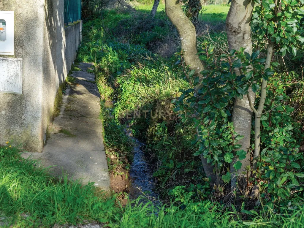 Terreno com viabilidade de Construção em Cernache, Coimbra. - Image 12