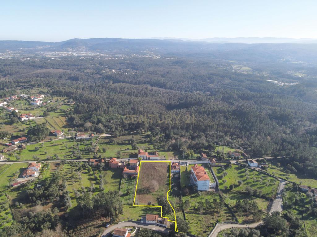 Terreno - Vila Nova de Poiares - Image 8