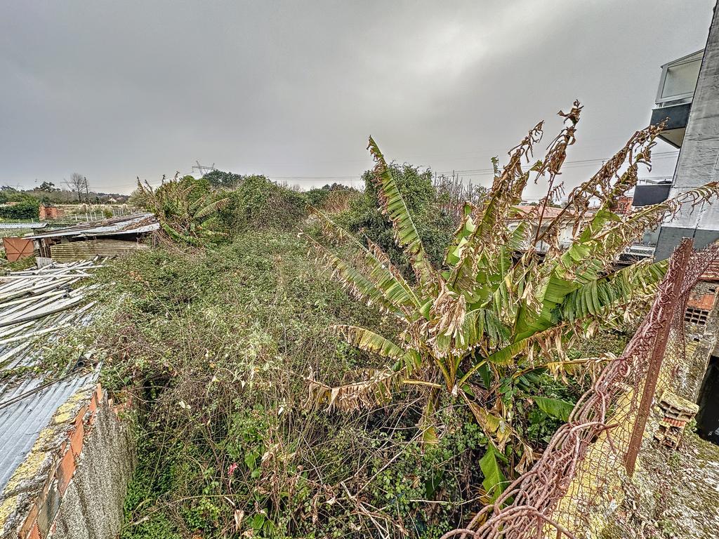 Moradia para Reabilitação em Oliveira do Bairro - Image 4