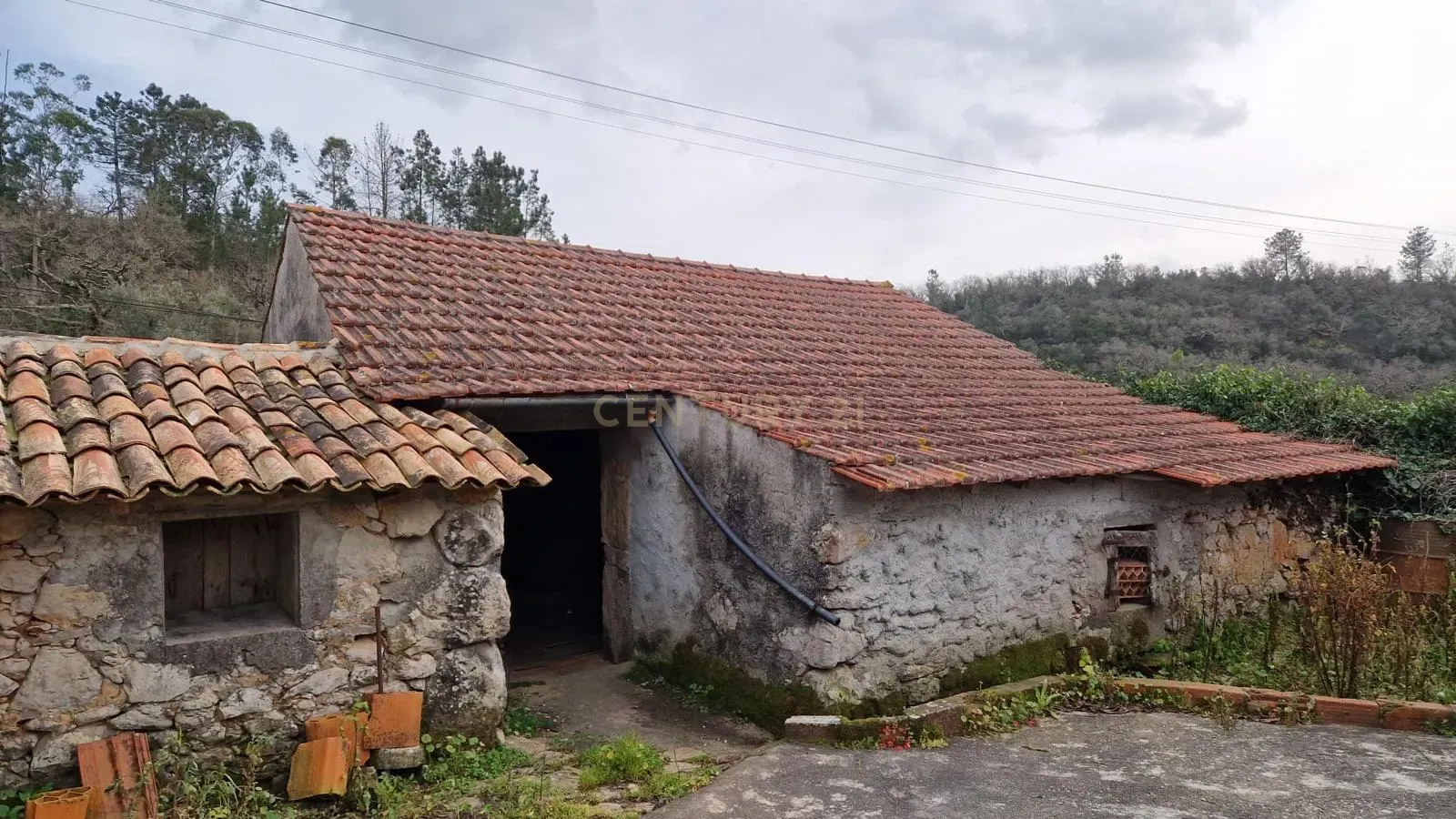 Moradias em Aldeia do Vale || Pombal - Image 18
