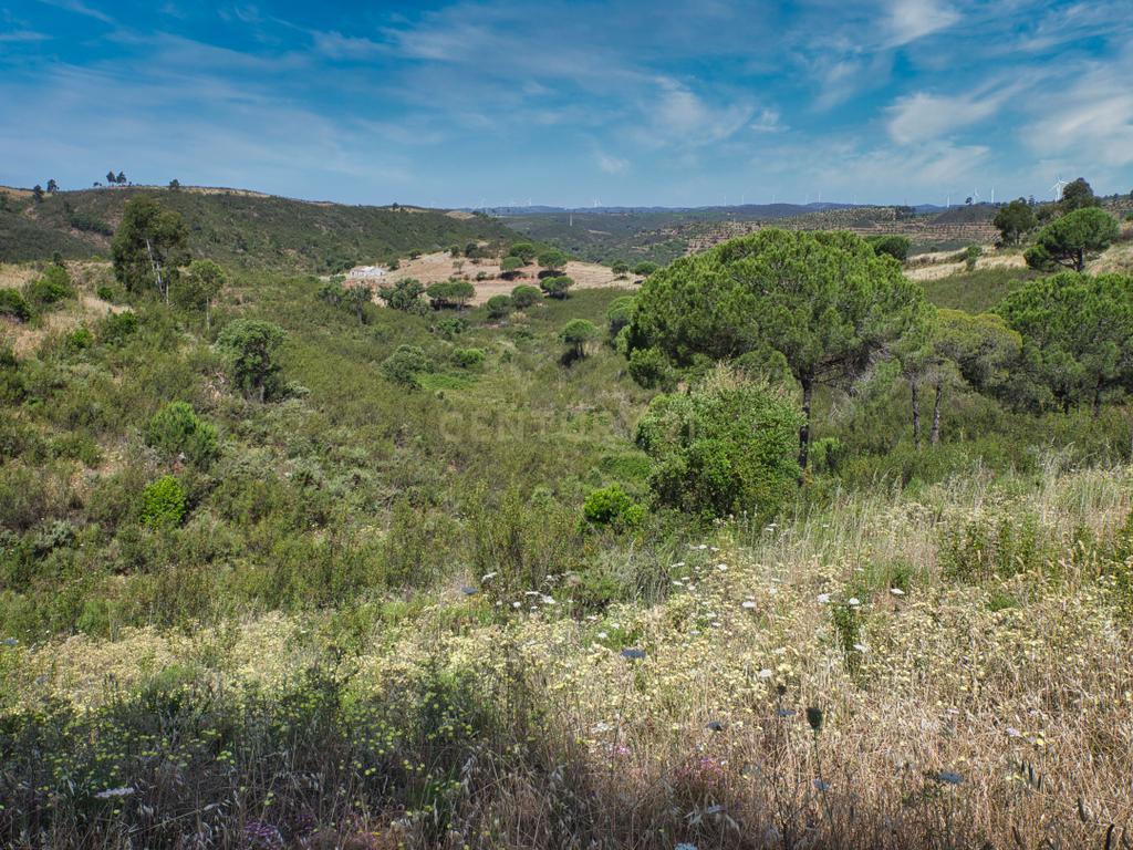Herdade de 271 Hectares no Barlavento Algarvio, com moradia + 4 estudios, piscina, 9 barragens, 3 estufas. - Image 67