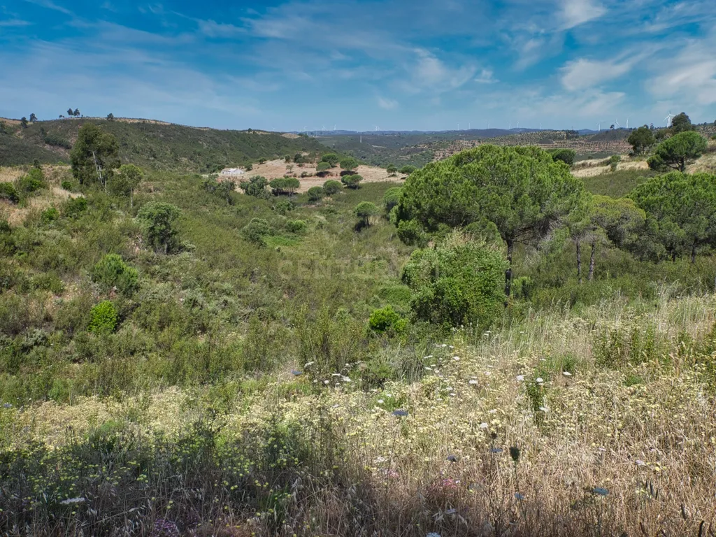 Herdade de 271 Hectares no Barlavento Algarvio, com moradia + 4 estudios, piscina, 9 barragens, 3 estufas. - Image 67
