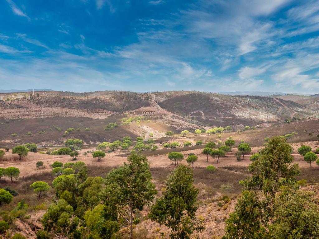 Herdade de 271 Hectares no Barlavento Algarvio, com moradia + 4 estudios, piscina, 9 barragens, 3 estufas. - Image 47
