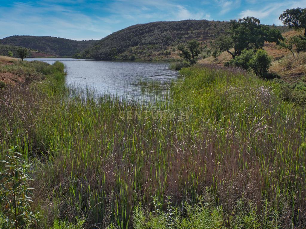Herdade de 271 Hectares no Barlavento Algarvio, com moradia + 4 estudios, piscina, 9 barragens, 3 estufas. - Image 53