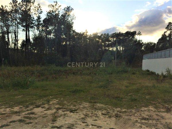 Lote de Terreno para Construção — Perto das Termas de Monte Real e Praia da Vieira