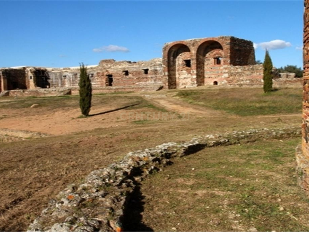 Quinta dos Capuchos, em Vila de Frades - Image 29