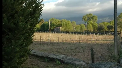 Quinta em Gouveia, com 4,4ha, para Venda - Image 12