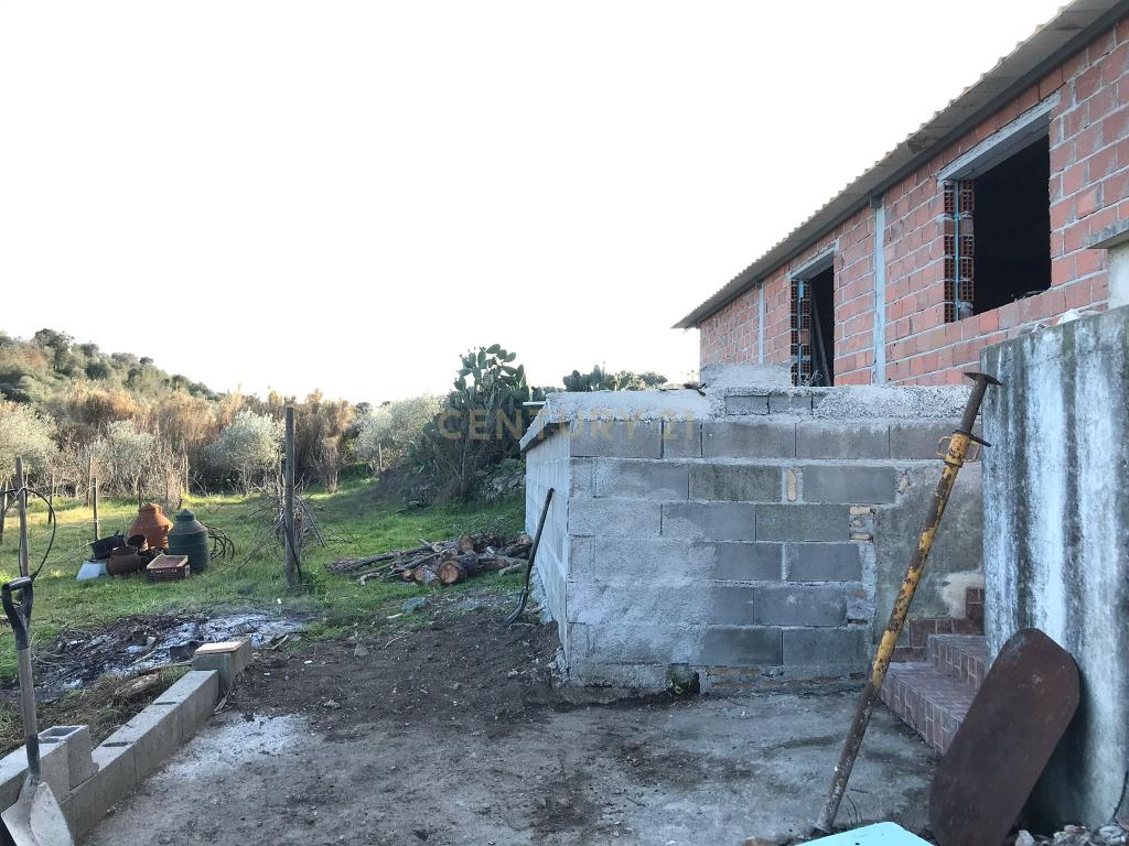Quinta localizada em Amieira do Tejo, em Nisa, distrito de Portalegre - Image 9