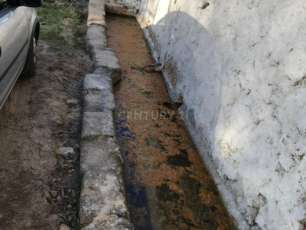 Quinta localizada em Amieira do Tejo, em Nisa, distrito de Portalegre - Image 16