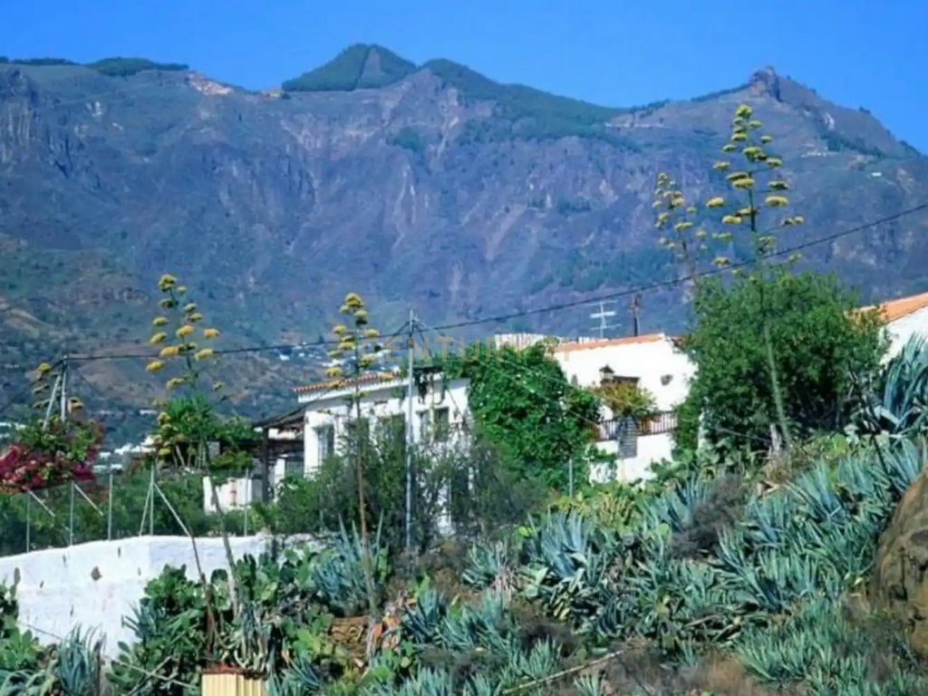 undefined - Image 19