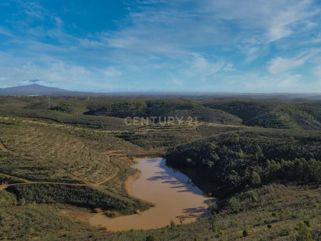Herdade de 271 Hectares no Barlavento Algarvio, com moradia + 4 estudios, piscina, 9 barragens, 3 estufas. - Image 42