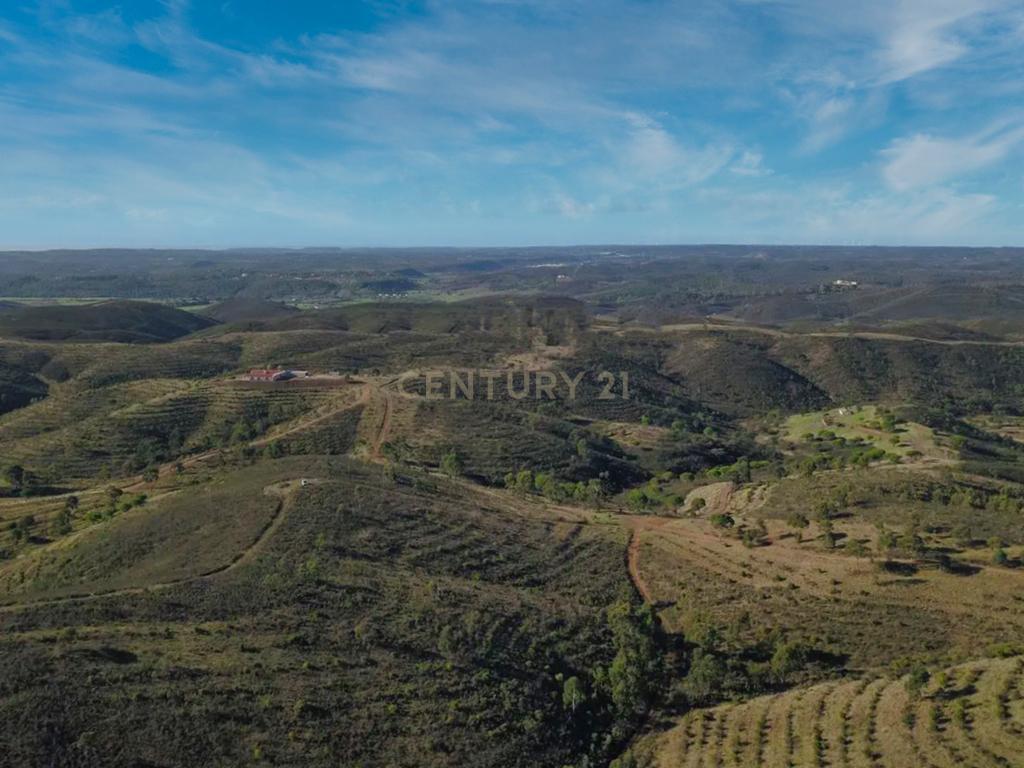 Herdade de 271 Hectares no Barlavento Algarvio, com moradia + 4 estudios, piscina, 9 barragens, 3 estufas. - Image 36