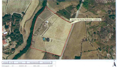 Quinta em Gouveia, com 4,4ha, para Venda - Image 14