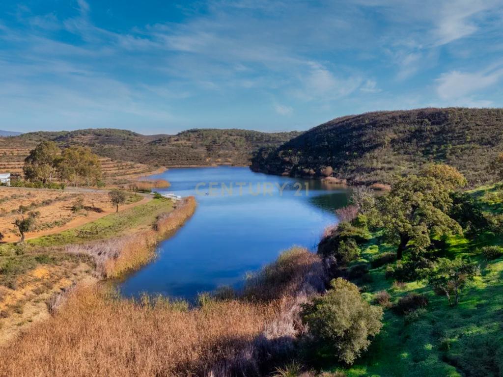 Herdade de 271 Hectares no Barlavento Algarvio, com moradia + 4 estudios, piscina, 9 barragens, 3 estufas. - Image 52