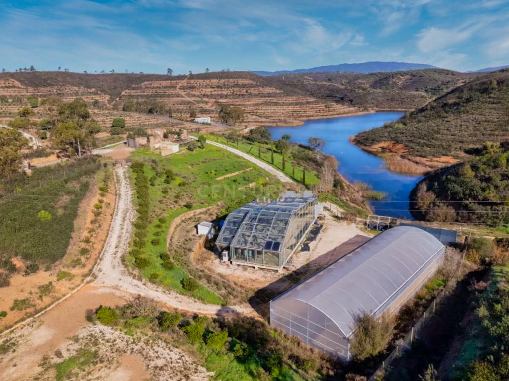 Herdade de 271 Hectares no Barlavento Algarvio, com moradia + 4 estudios, piscina, 9 barragens, 3 estufas. - Image 49