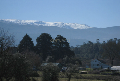 Quinta em Gouveia, com 4,4ha, para Venda - Image 6