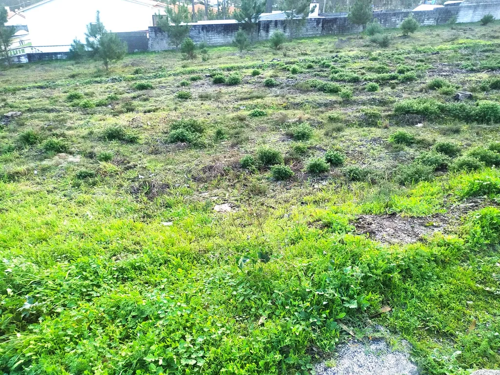 Terreno rústico || Viabilidade de construção moradias || 857m2 || Amor - Leiria - Image 7