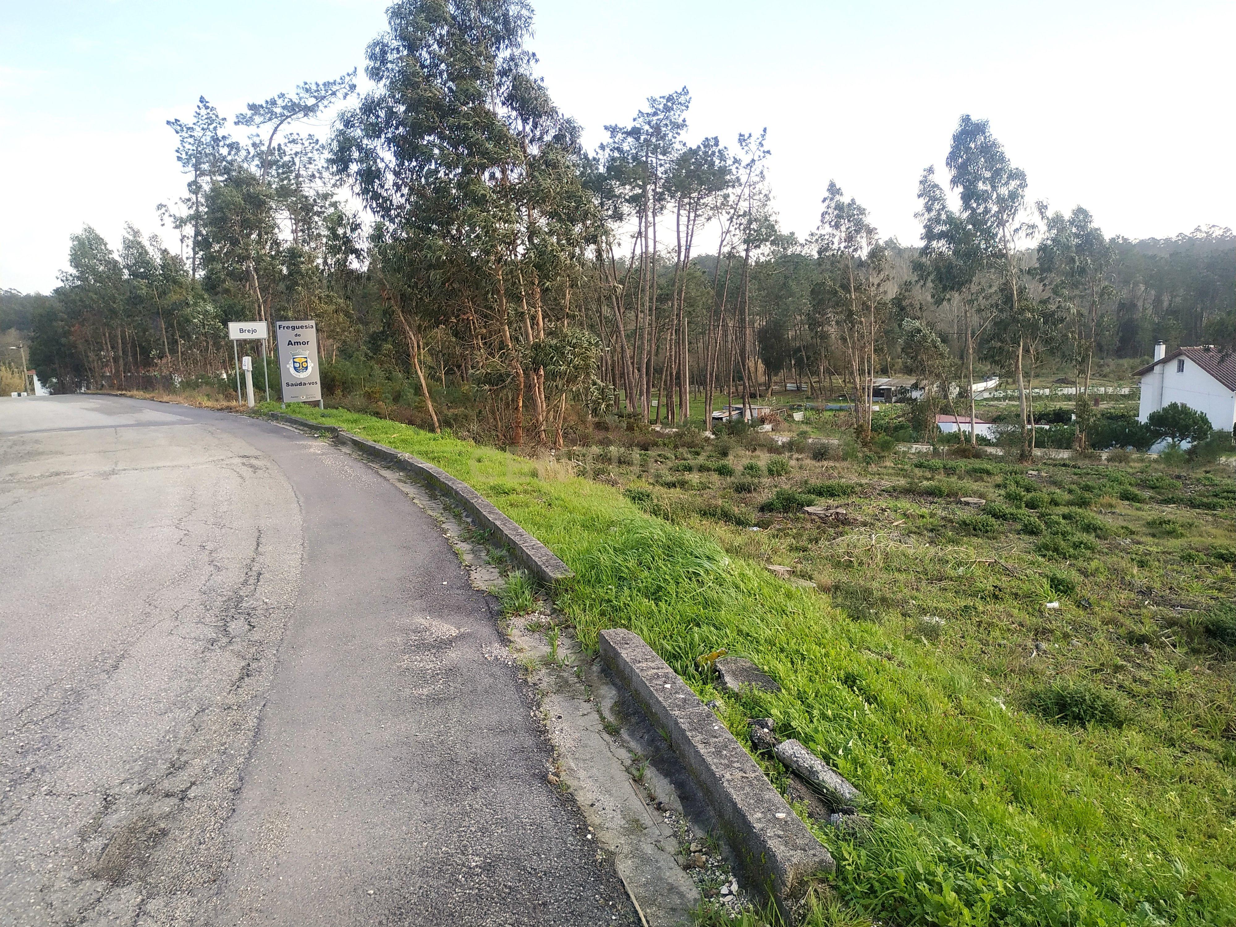 Terreno 1880m2 || Viabilidade para construção de moradias || Amor - Leiria - Image 11