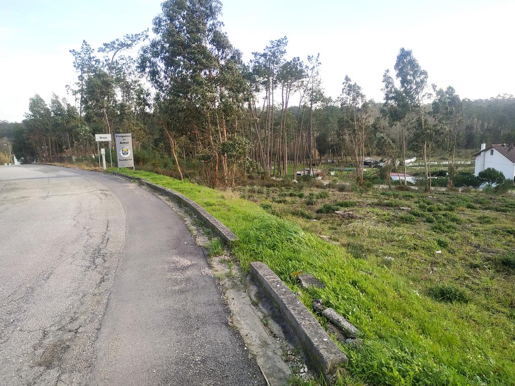 Terreno 1880m2 || Viabilidade para construção de moradias || Amor - Leiria - Image 11