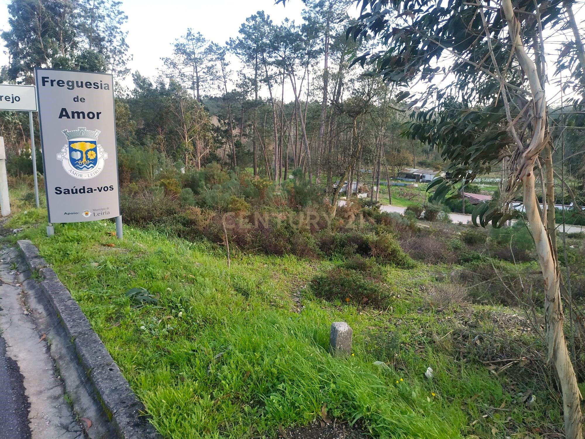 Terreno 1880m2 || Viabilidade para construção de moradias || Amor - Leiria - Image 12