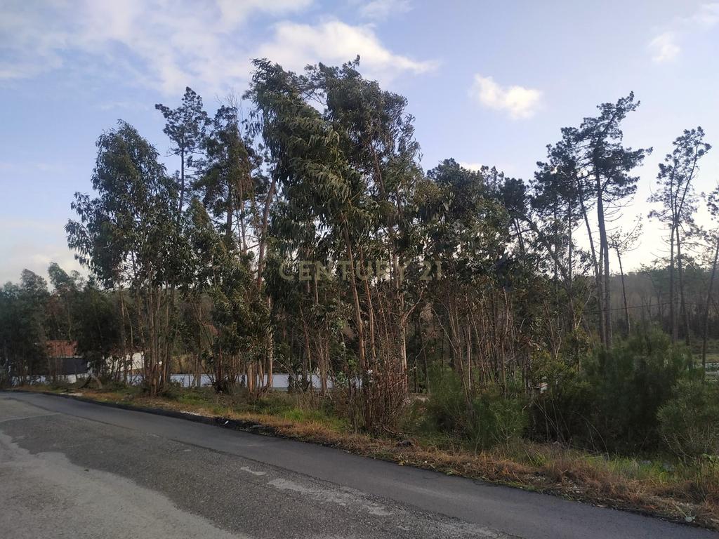 Terreno rústico || Viabilidade de construção moradias || 857m2 || Amor - Leiria - Image 9