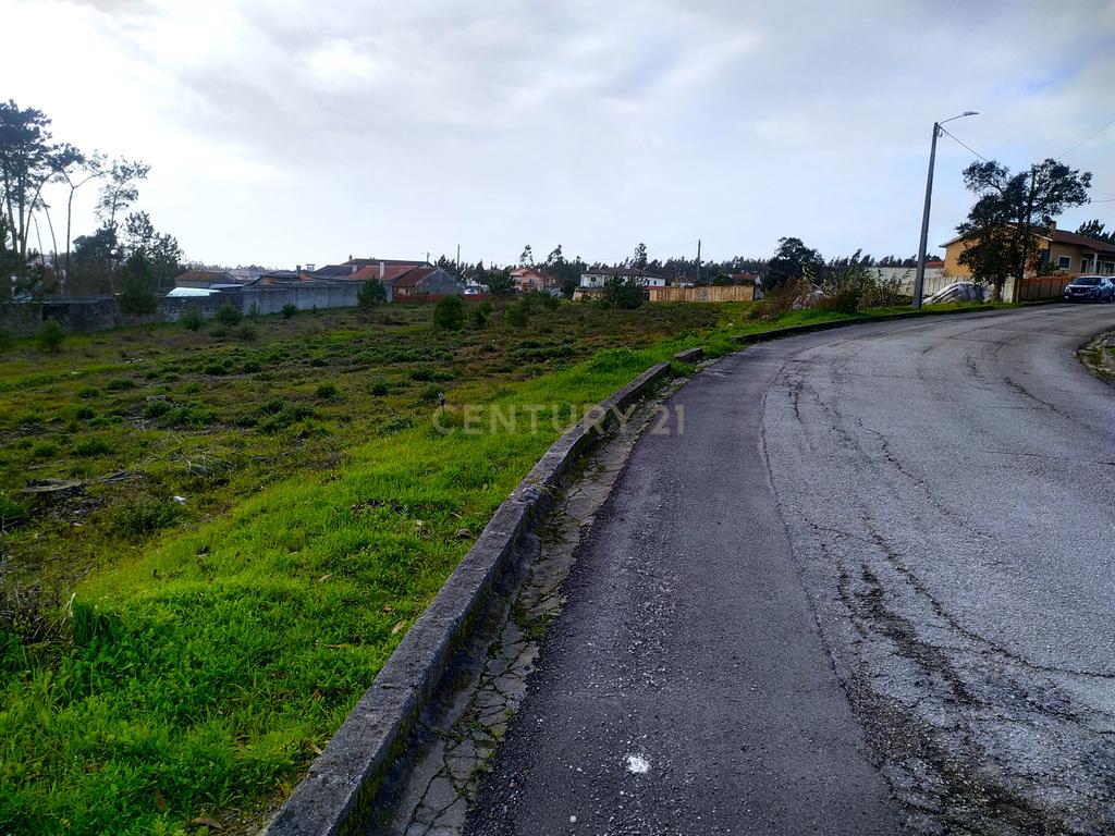 Terreno rústico || Viabilidade de construção moradias || 857m2 || Amor - Leiria - Image 5