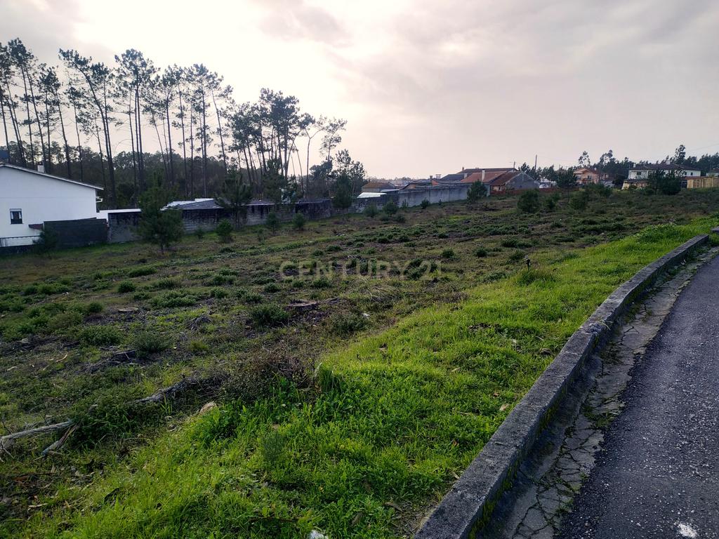 Terreno rústico || Viabilidade de construção moradias || 857m2 || Amor - Leiria - Image 6