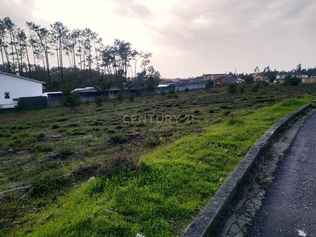 Terreno rústico || Viabilidade de construção moradias || 857m2 || Amor - Leiria - Image 6