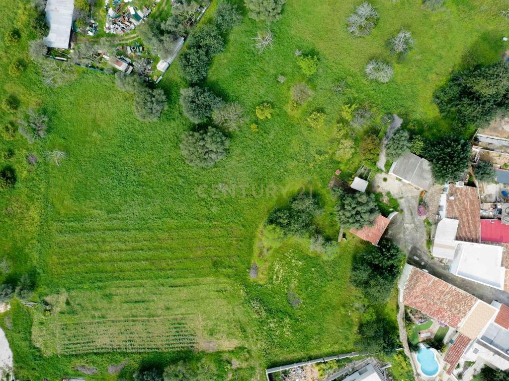 Moradia Térrea T3 com Fachada Tradicional para Venda em Sitio do Peral São Brás de Alportel - Image 30