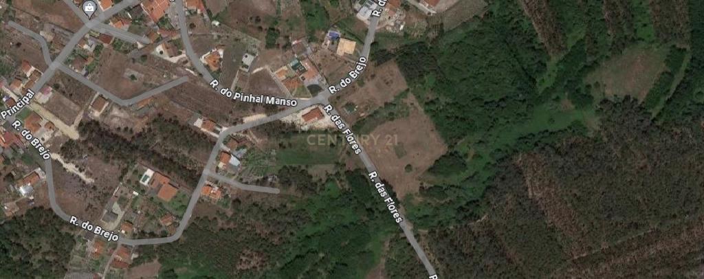 Terreno rústico || Viabilidade de construção moradias || 857m2 || Amor - Leiria - Image 11