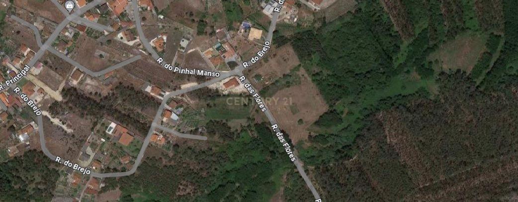 Terreno 1880m2 || Viabilidade para construção de moradias || Amor - Leiria - Image 13