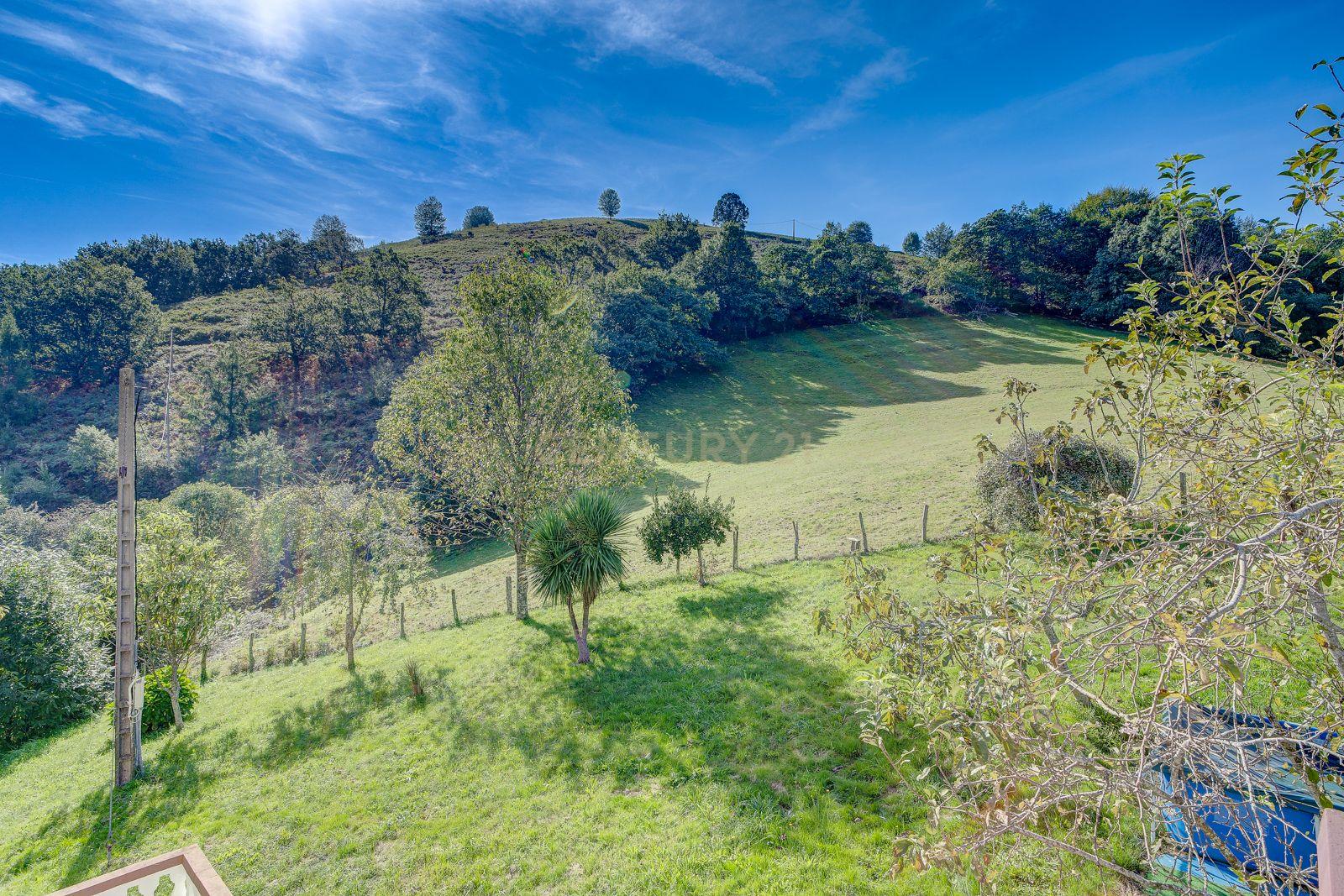 undefined - Image 80