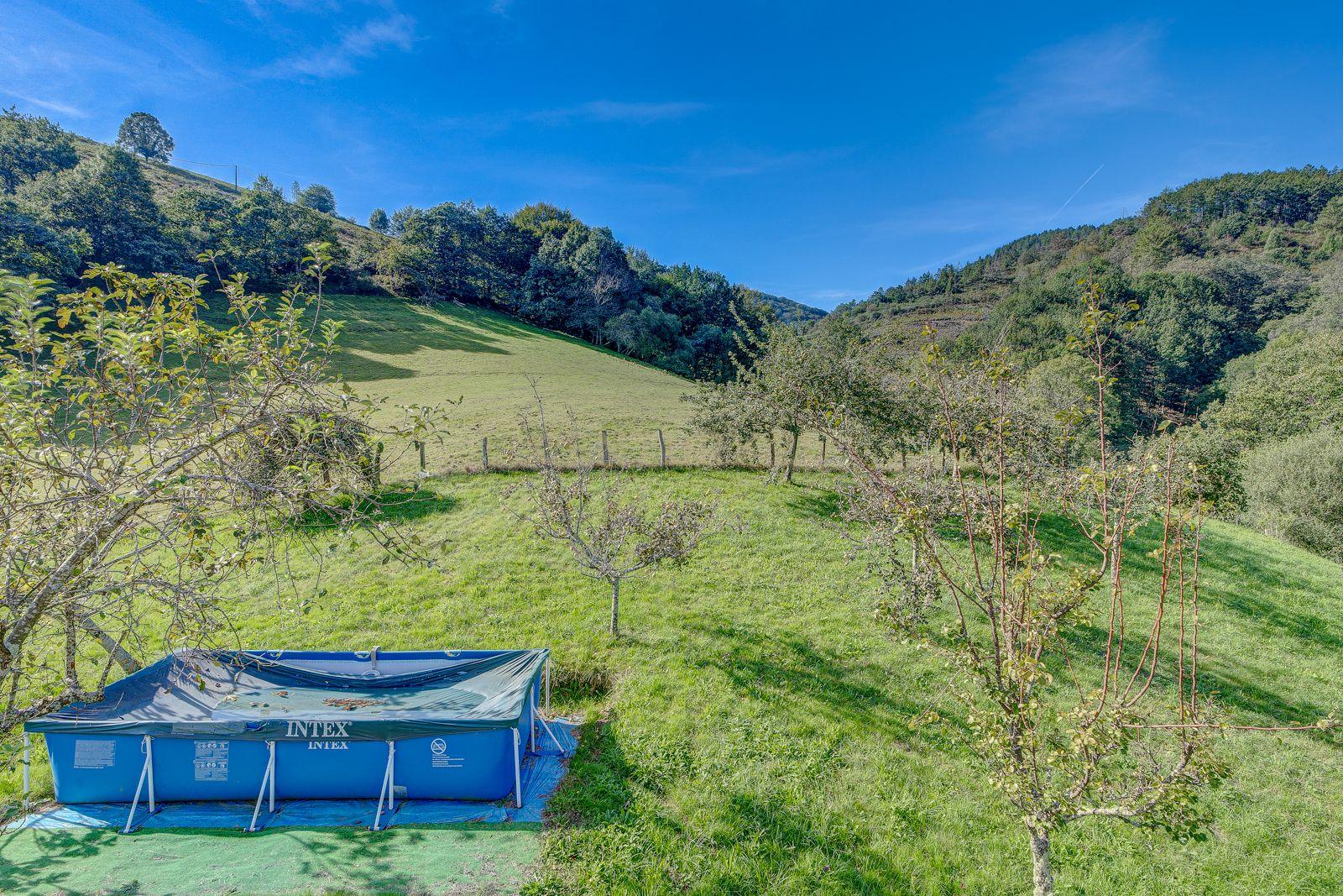 undefined - Image 81