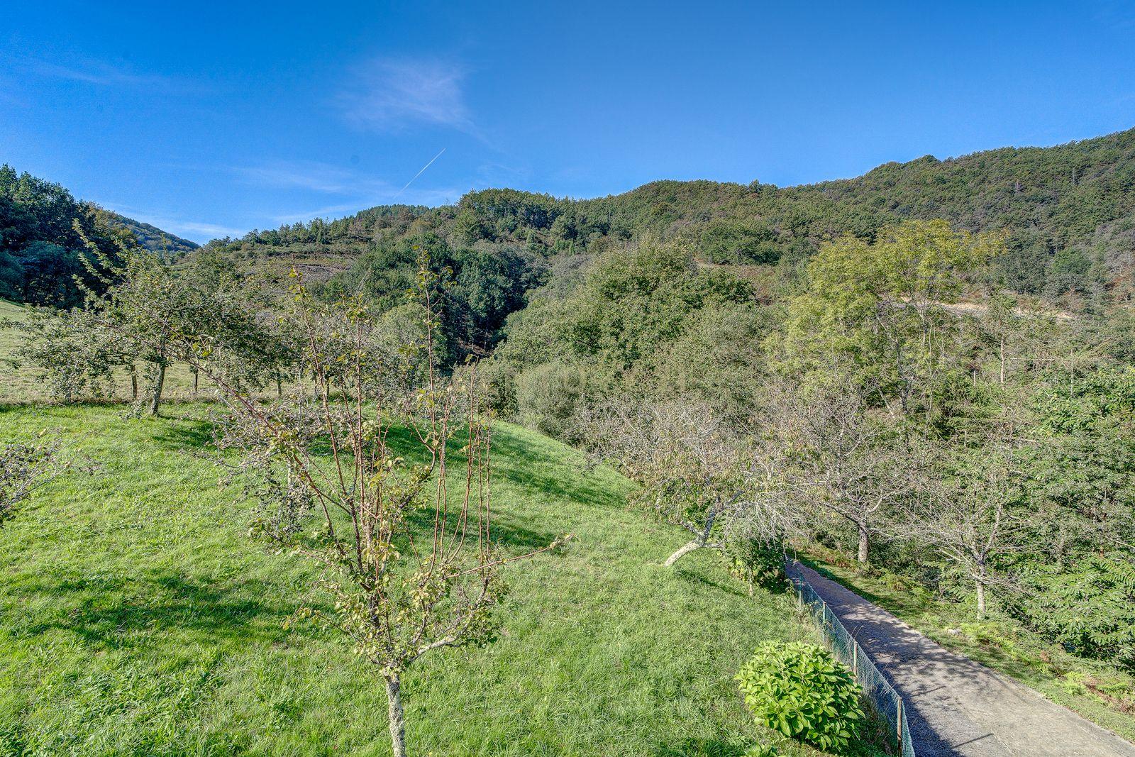 undefined - Image 82