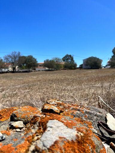 Casa antiga e terreno no Alentejo | São Pedro de Solis - Image 4