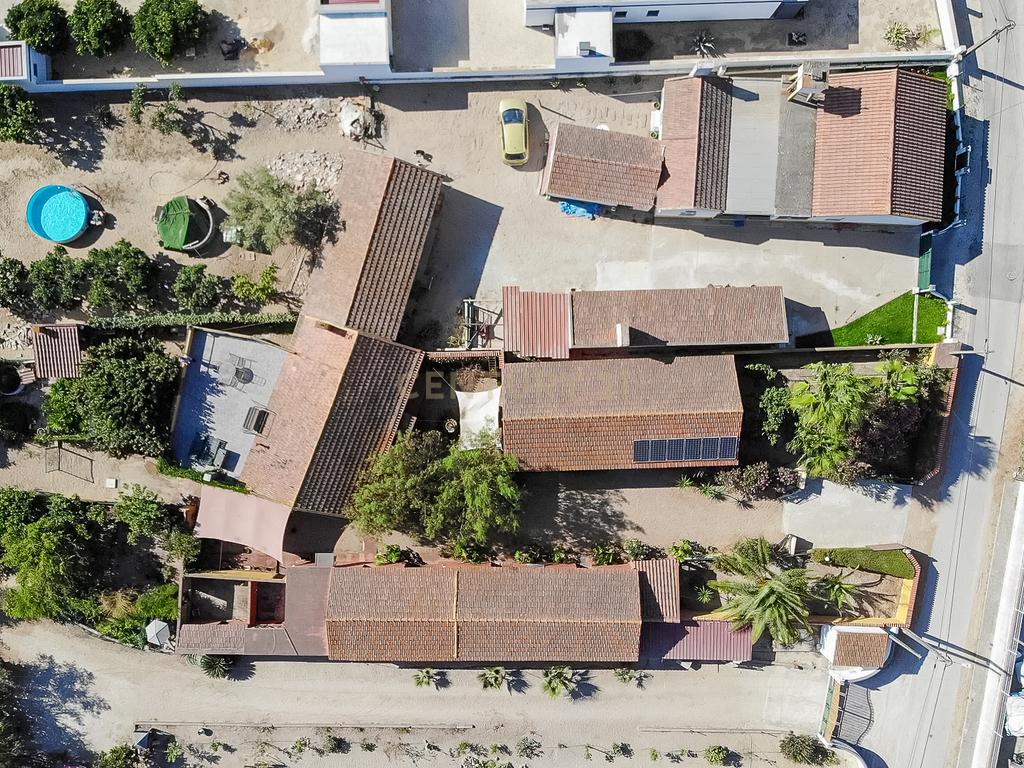 Quintinha com Casa Isolada em Marinhais - Image 64
