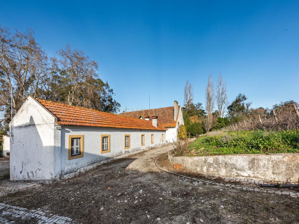 Quinta das Baldrucas - Image 58