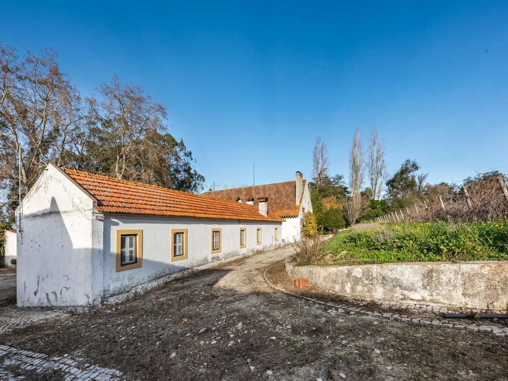 Quinta das Baldrucas - Image 58