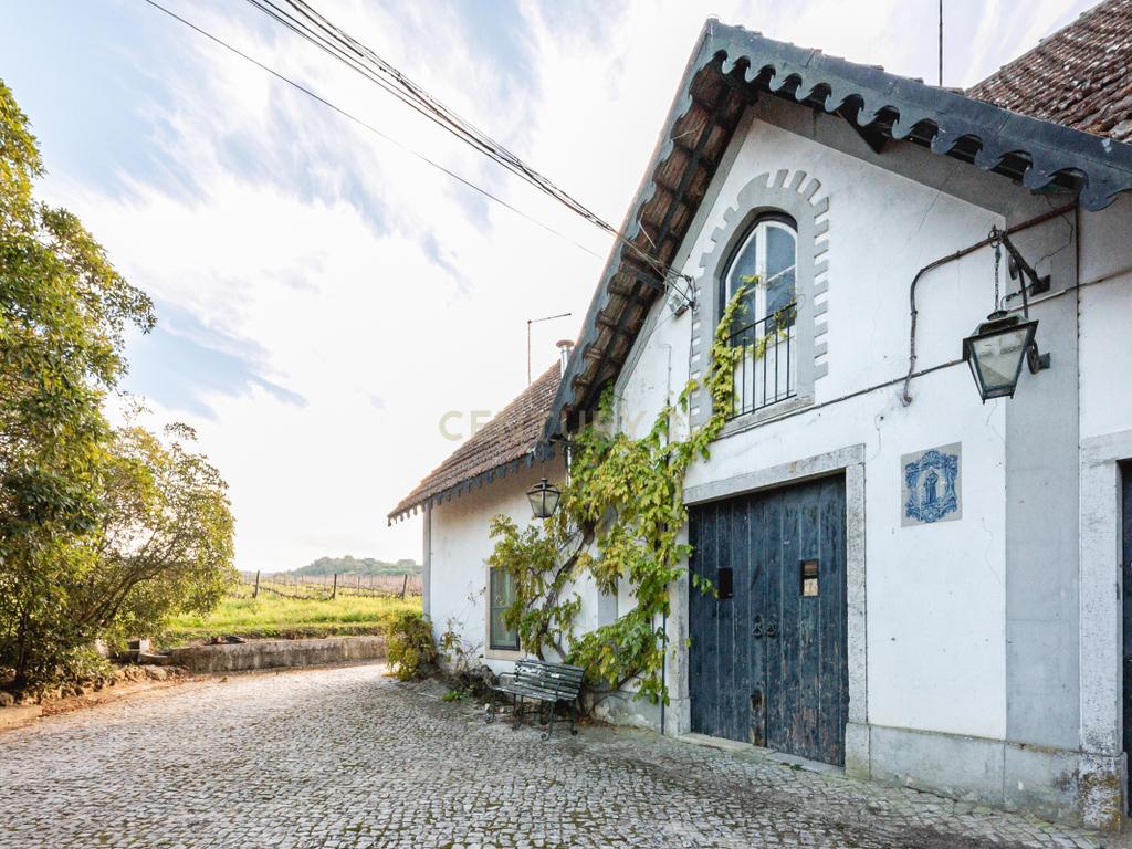 Quinta das Baldrucas - Image 55