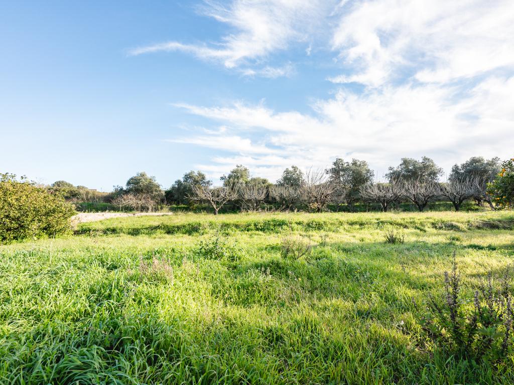 Quinta das Baldrucas - Image 50
