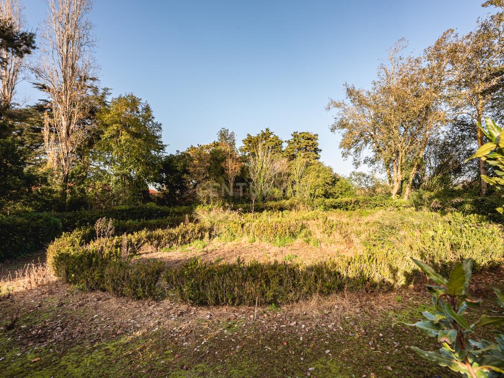 Quinta das Baldrucas - Image 53