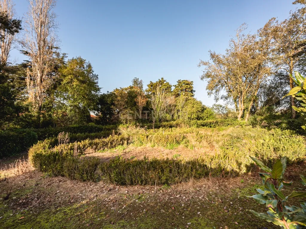 Quinta das Baldrucas - Image 53