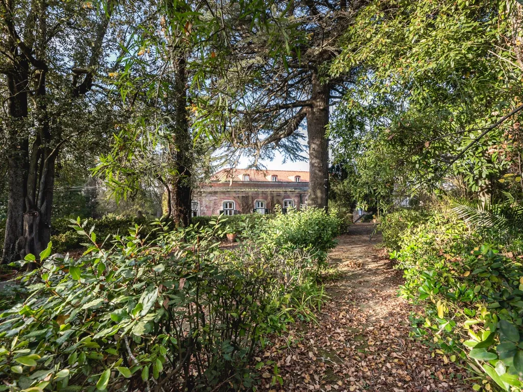 Quinta das Baldrucas - Image 52