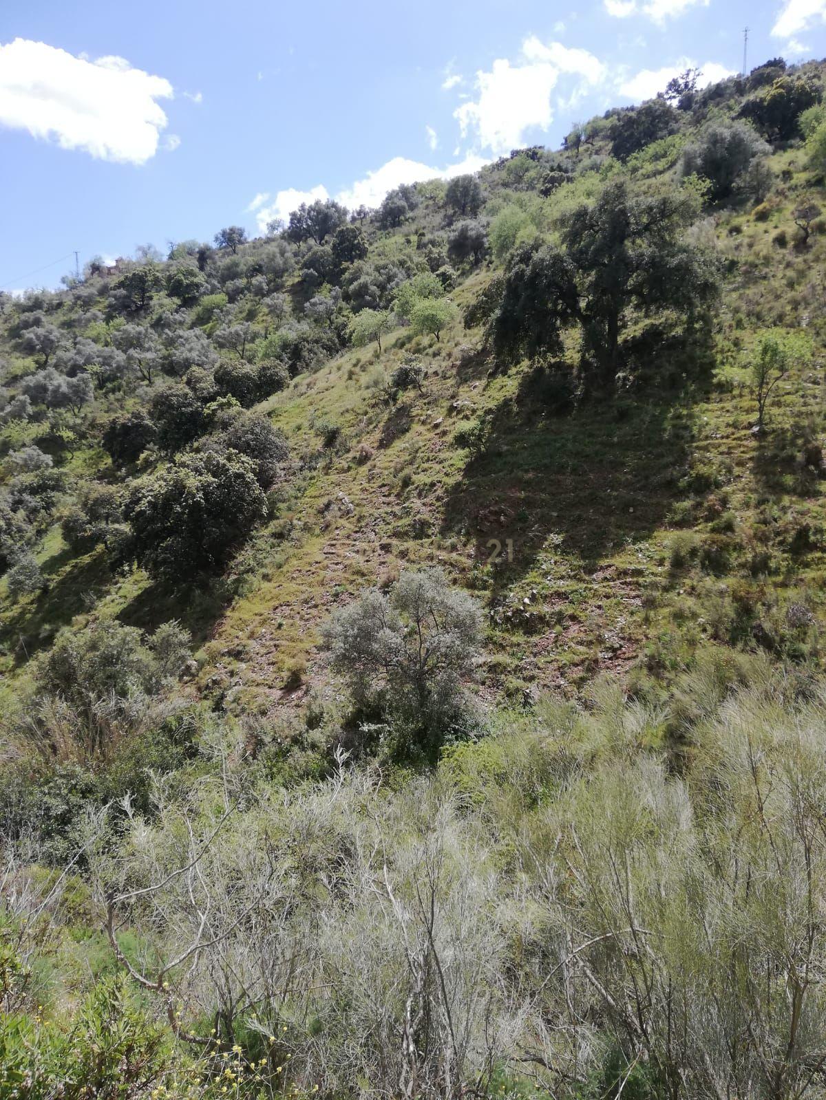 undefined - Image 11