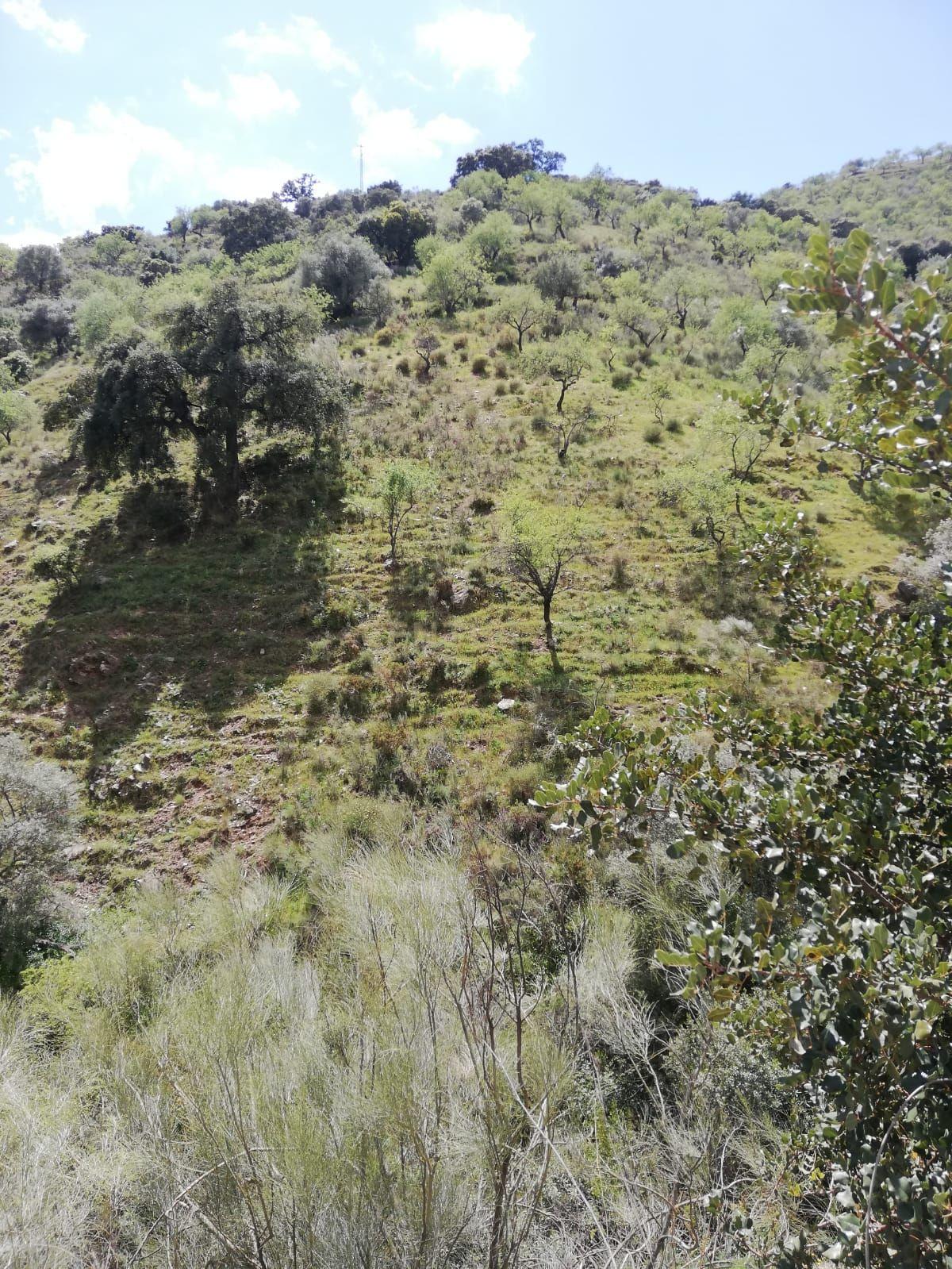 undefined - Image 12
