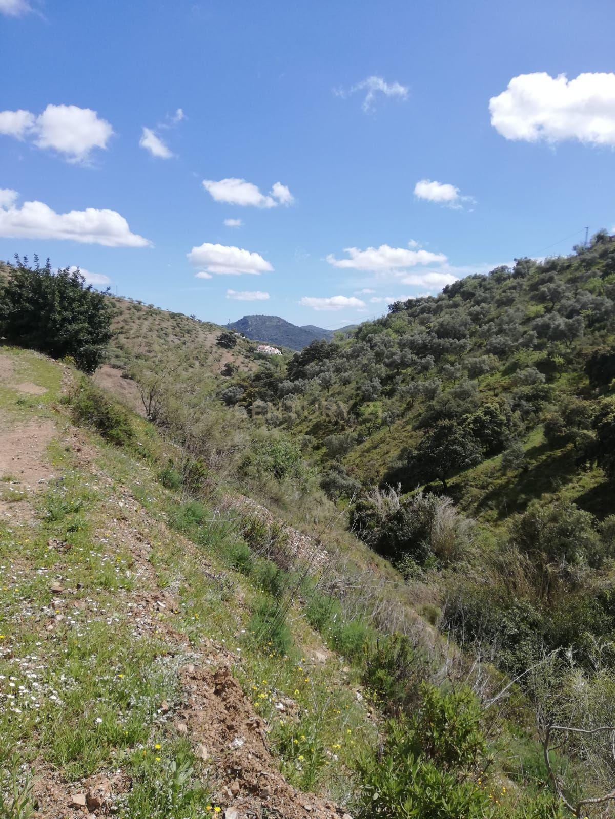 undefined - Image 6